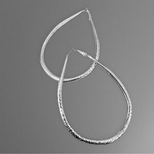 Elegant Silver Hoop Earrings